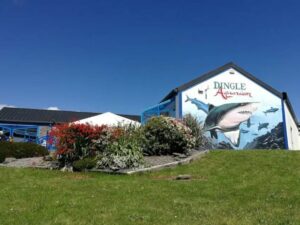 Dingle Aquarium
