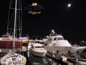 Northern Lights yacht Trip